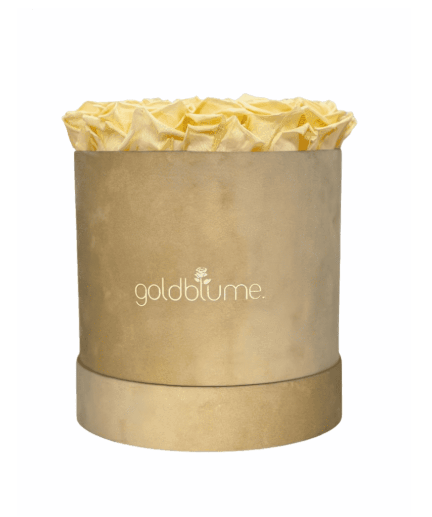 Velvet Beige Collection - Goldblume 