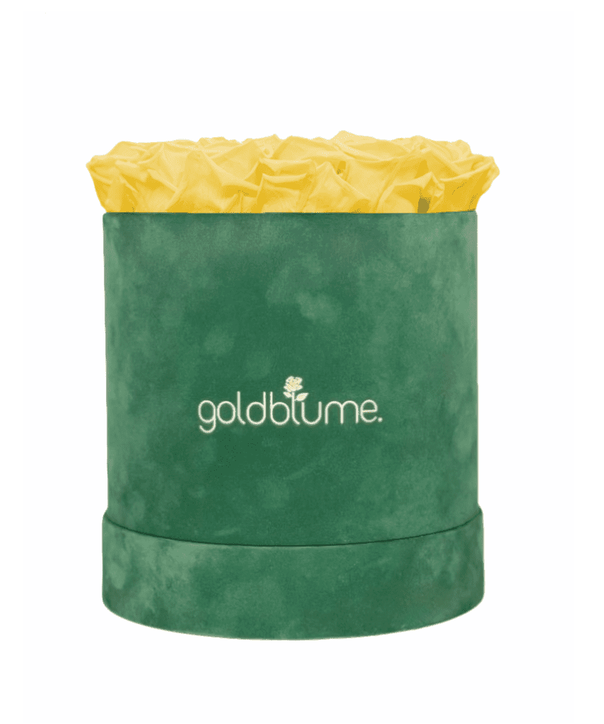 Velvet Green Collection - Goldblume 