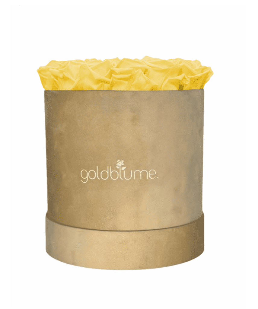 Velvet Beige Collection - Goldblume 