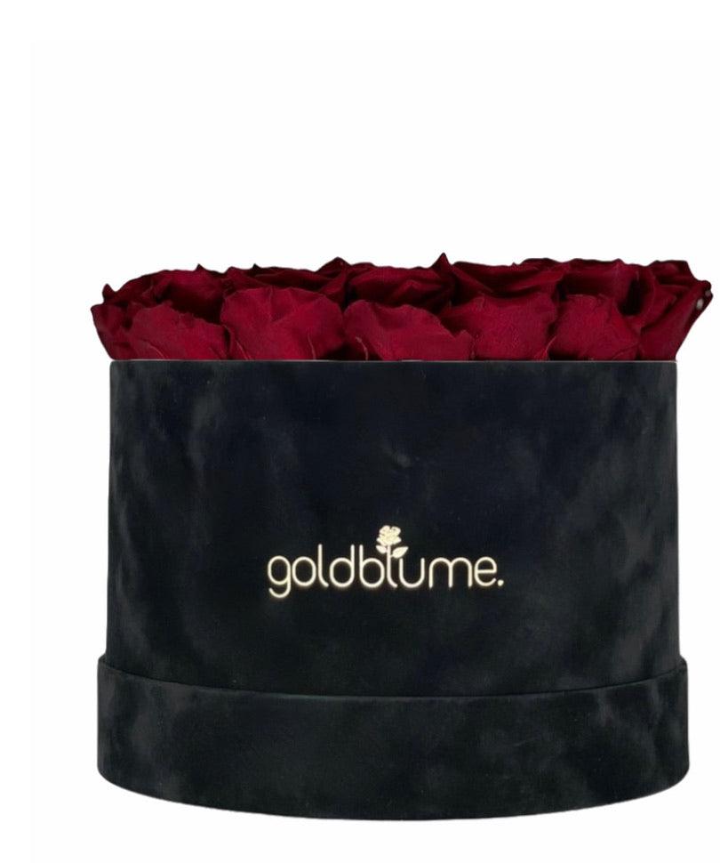Velvet Black Collection - Goldblume 