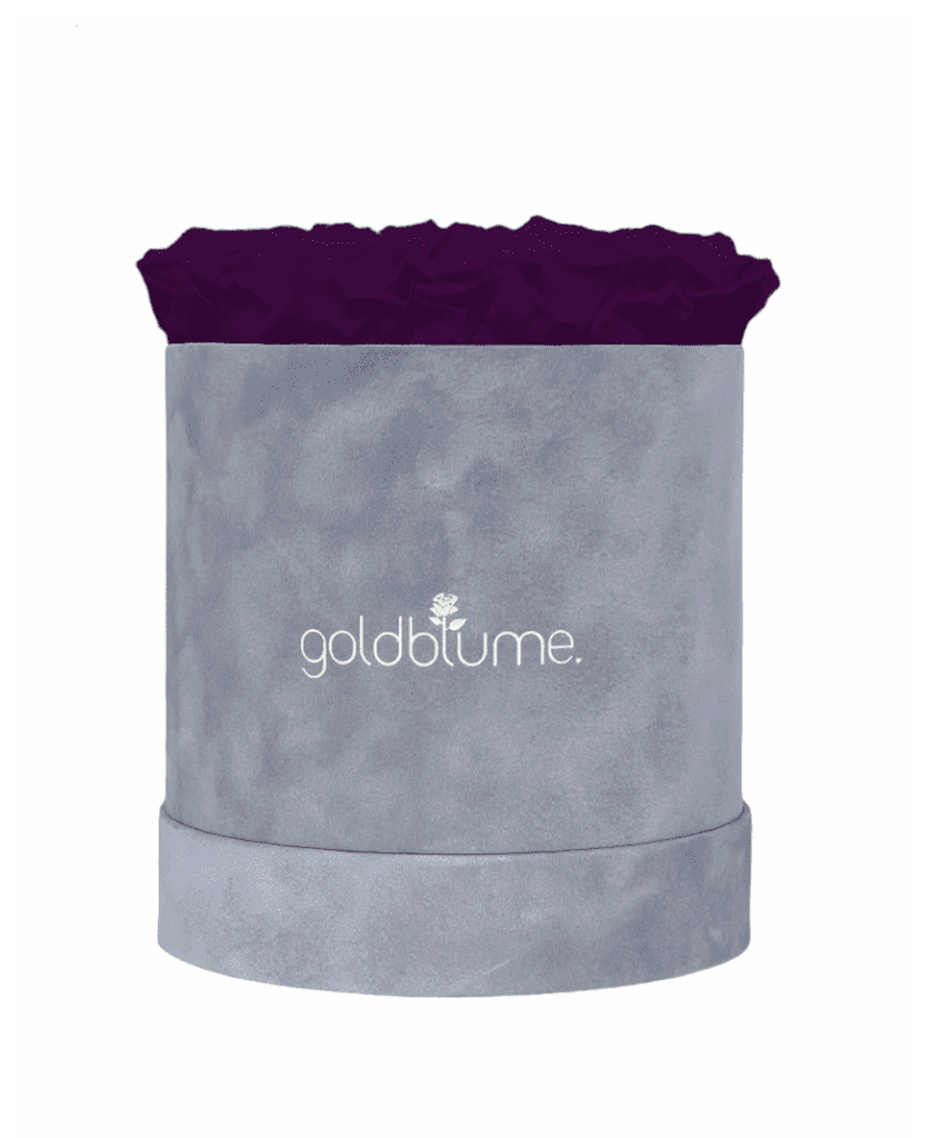 Velvet Grey Collection - Goldblume 