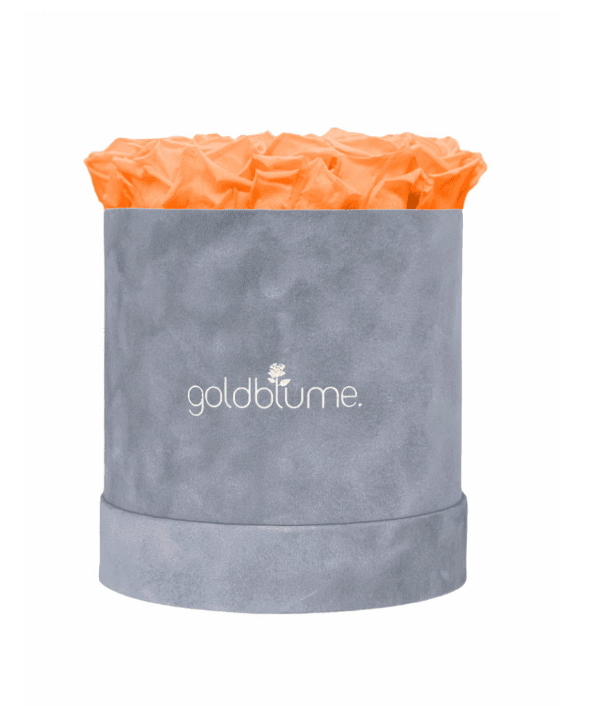 Velvet Grey Collection - Goldblume 