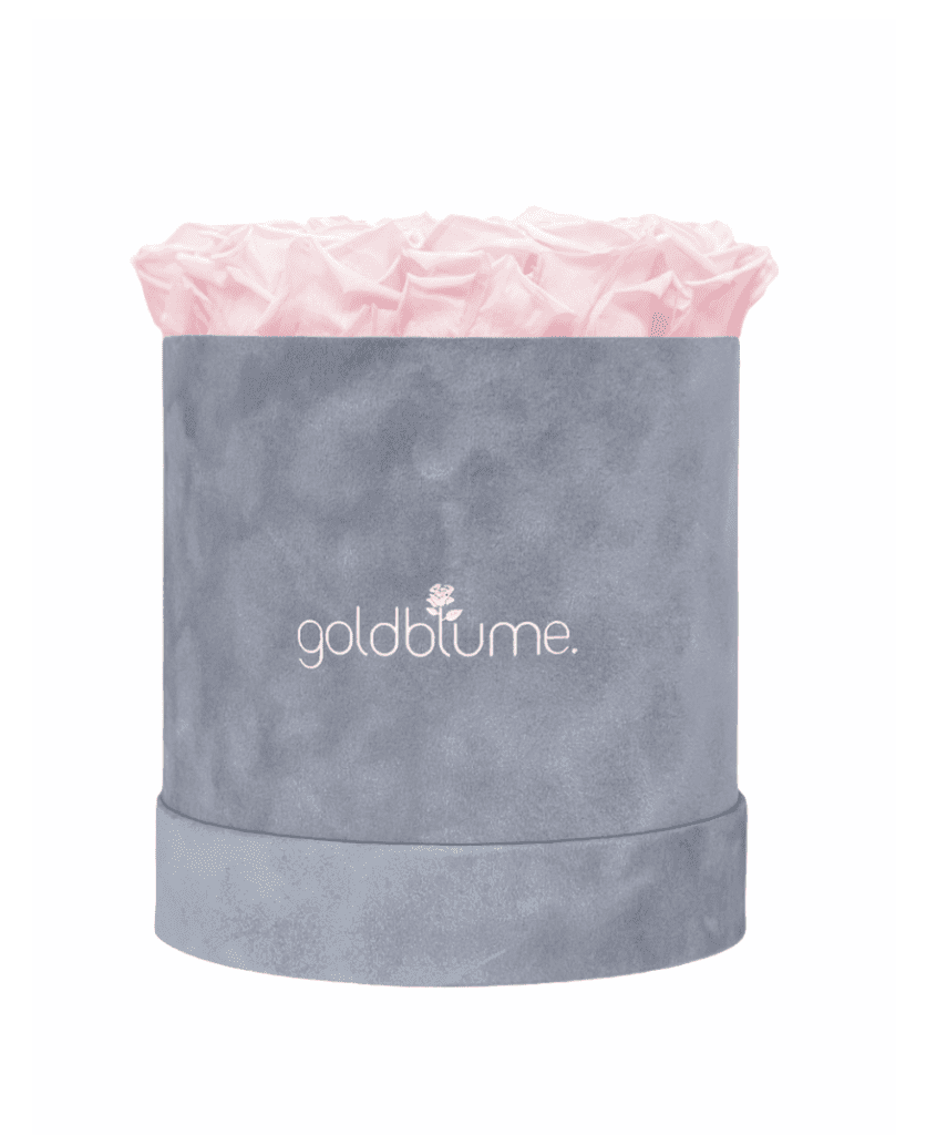 Velvet Grey Collection - Goldblume 