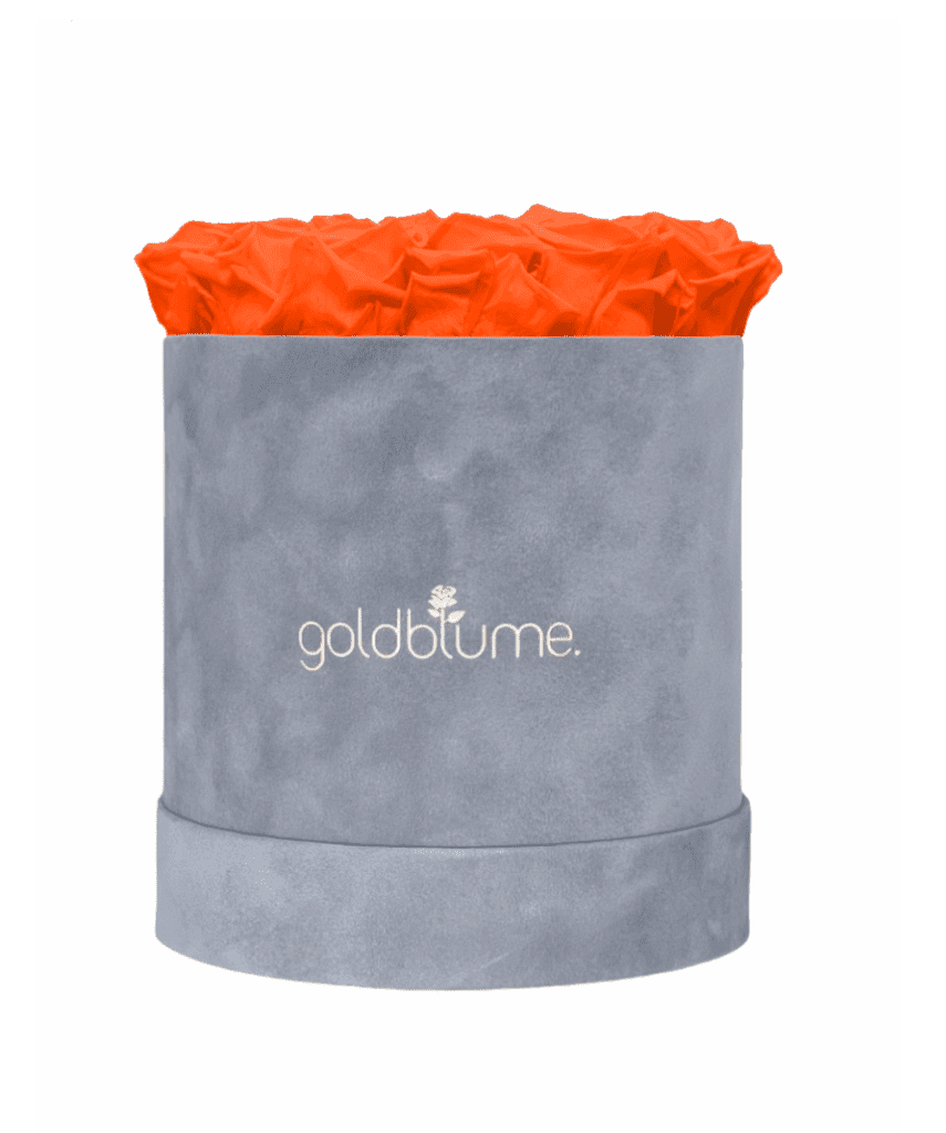 Velvet Grey Collection - Goldblume 