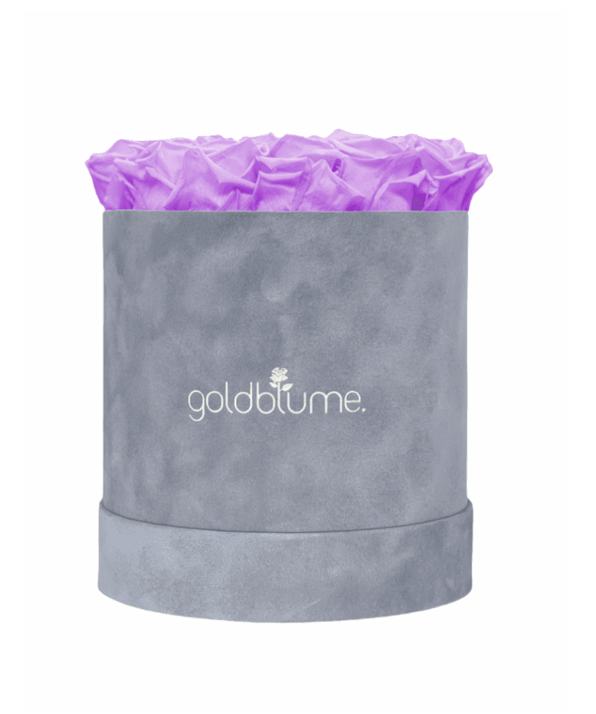 Velvet Grey Collection - Goldblume 
