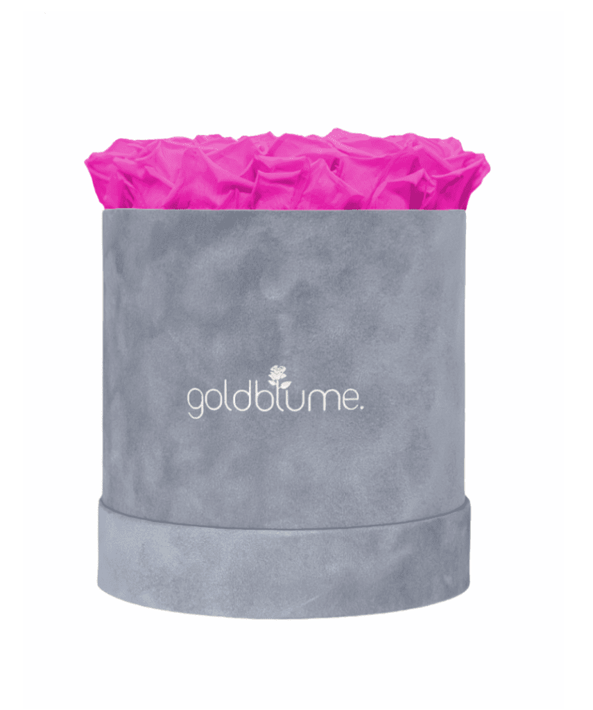 Velvet Grey Collection - Goldblume 