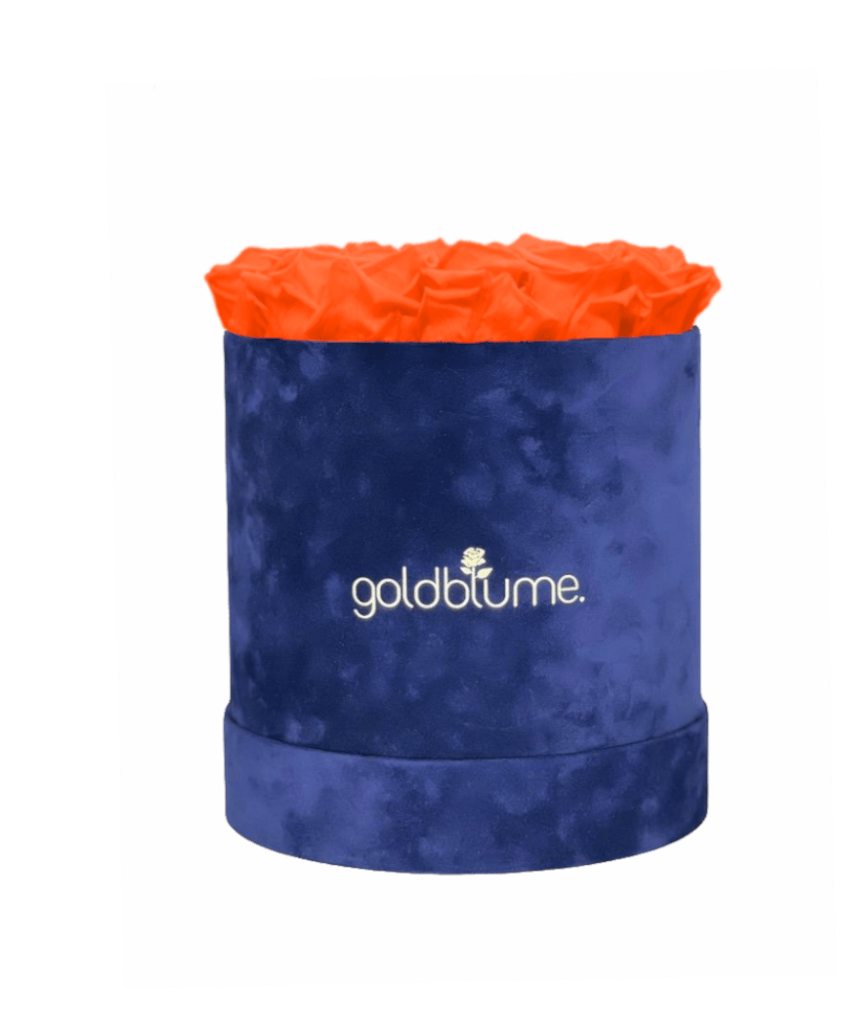 Velvet Royal Collection - Goldblume 
