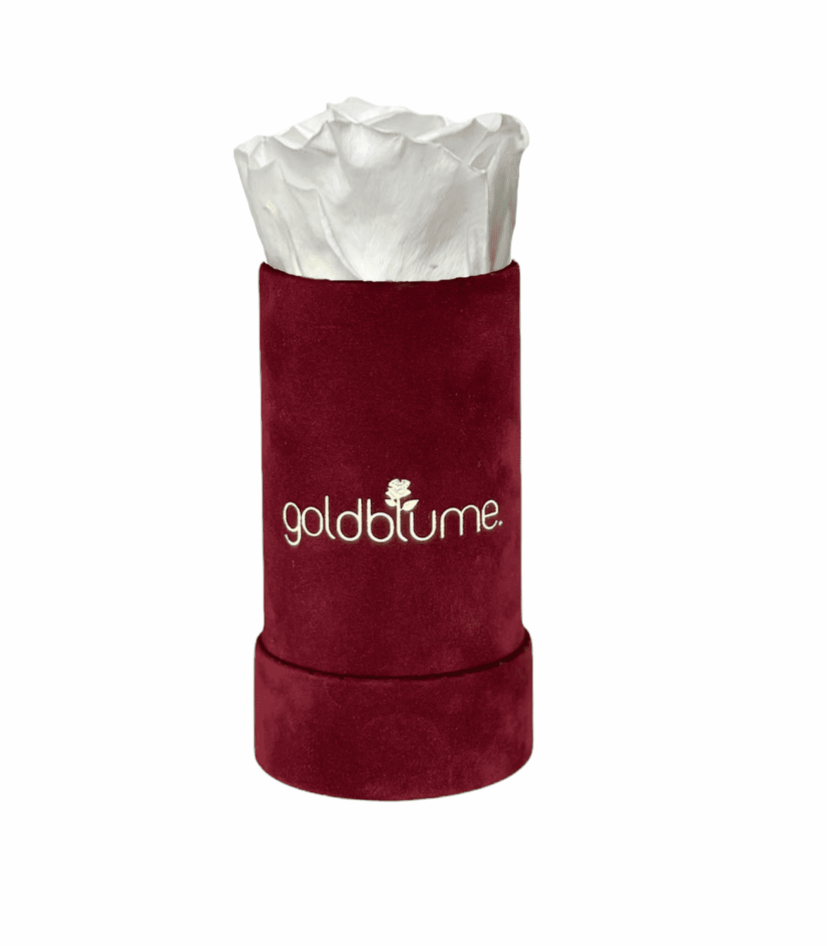 Velvet Bordeaux Collection - Goldblume 