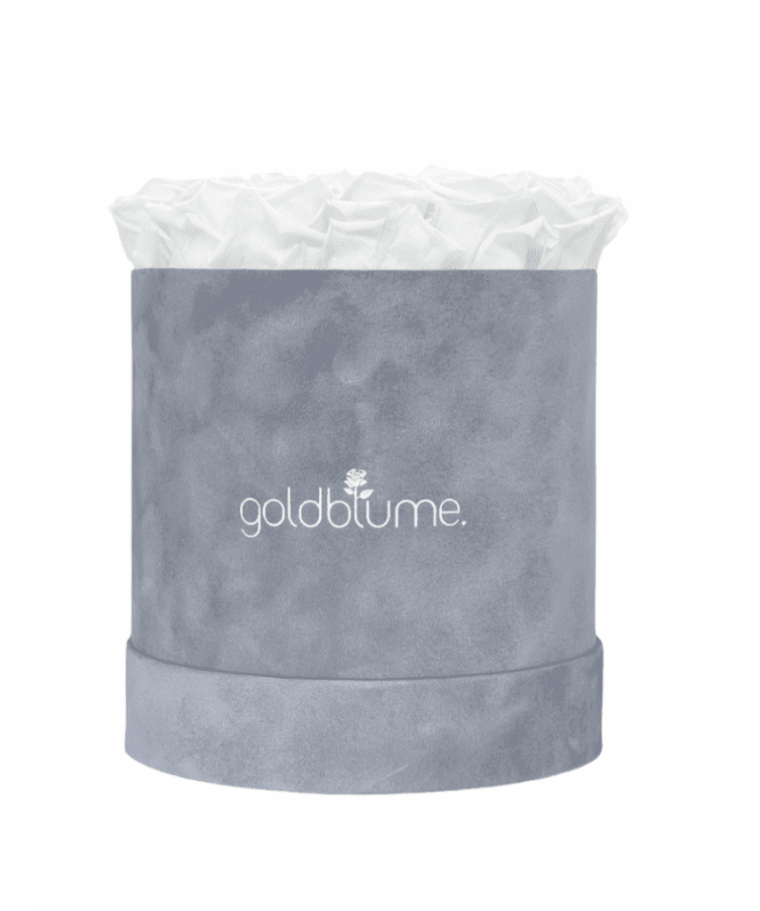 Velvet Grey Collection - Goldblume 