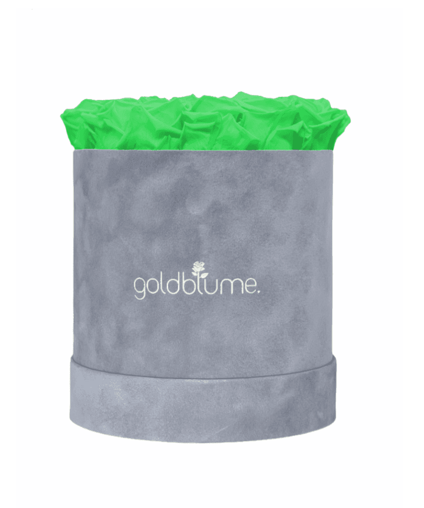 Velvet Grey Collection - Goldblume 
