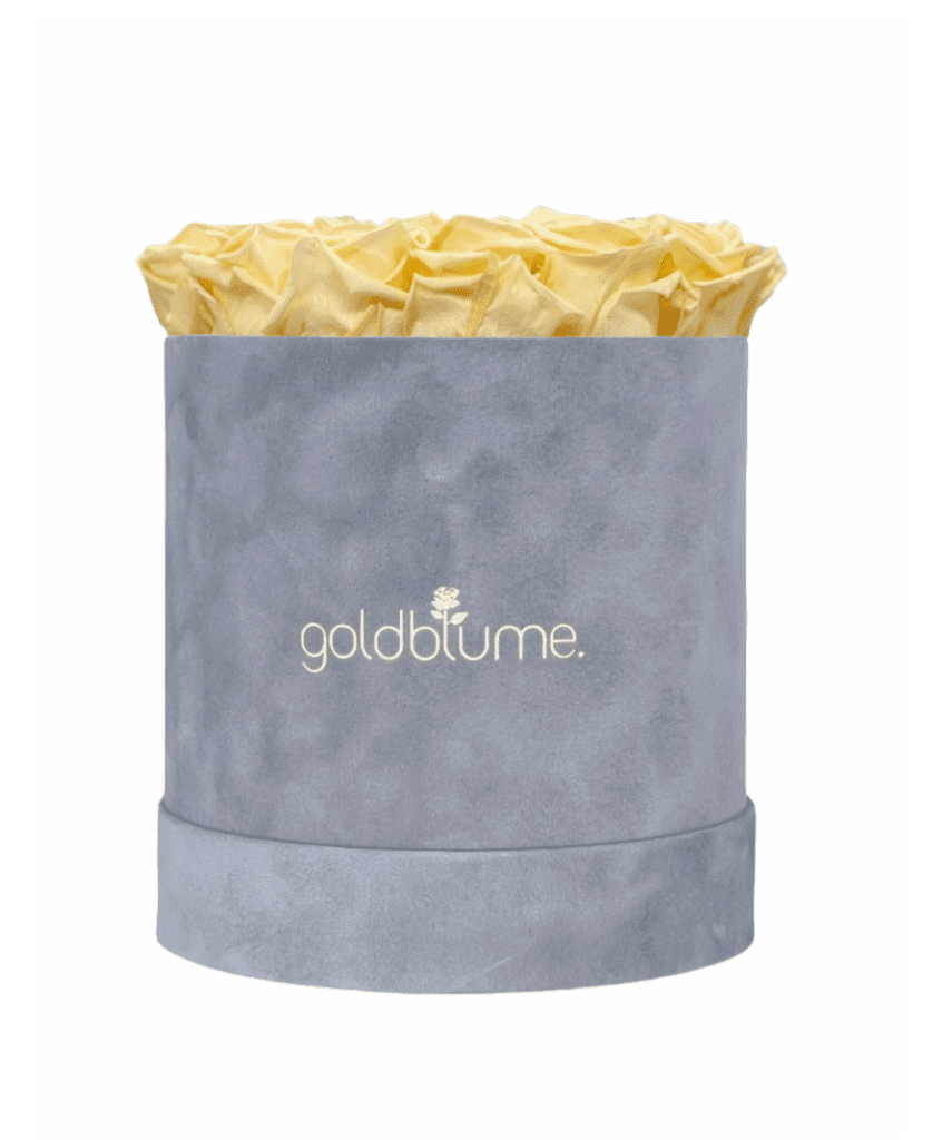 Velvet Grey Collection - Goldblume 