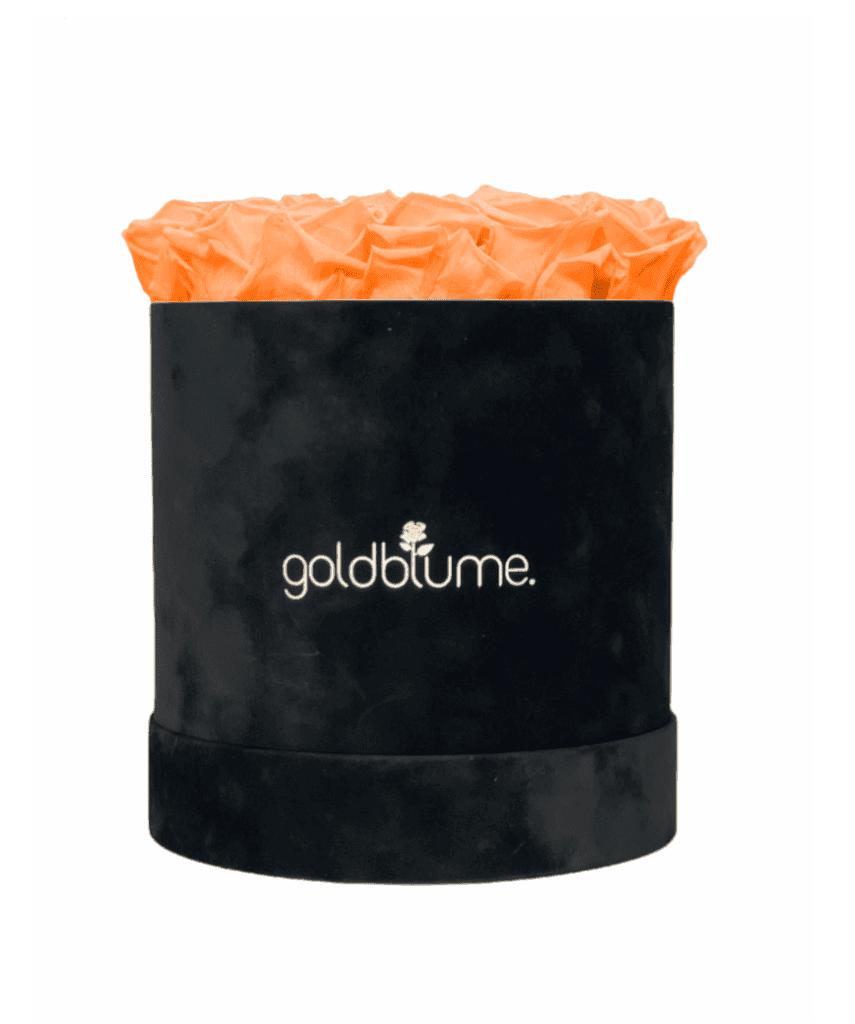 Velvet Black Collection - Goldblume 