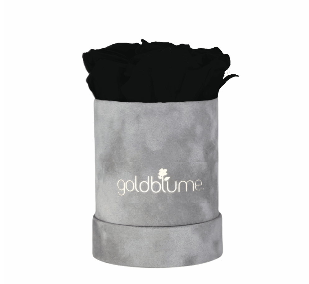 Velvet Grey Collection - Goldblume 