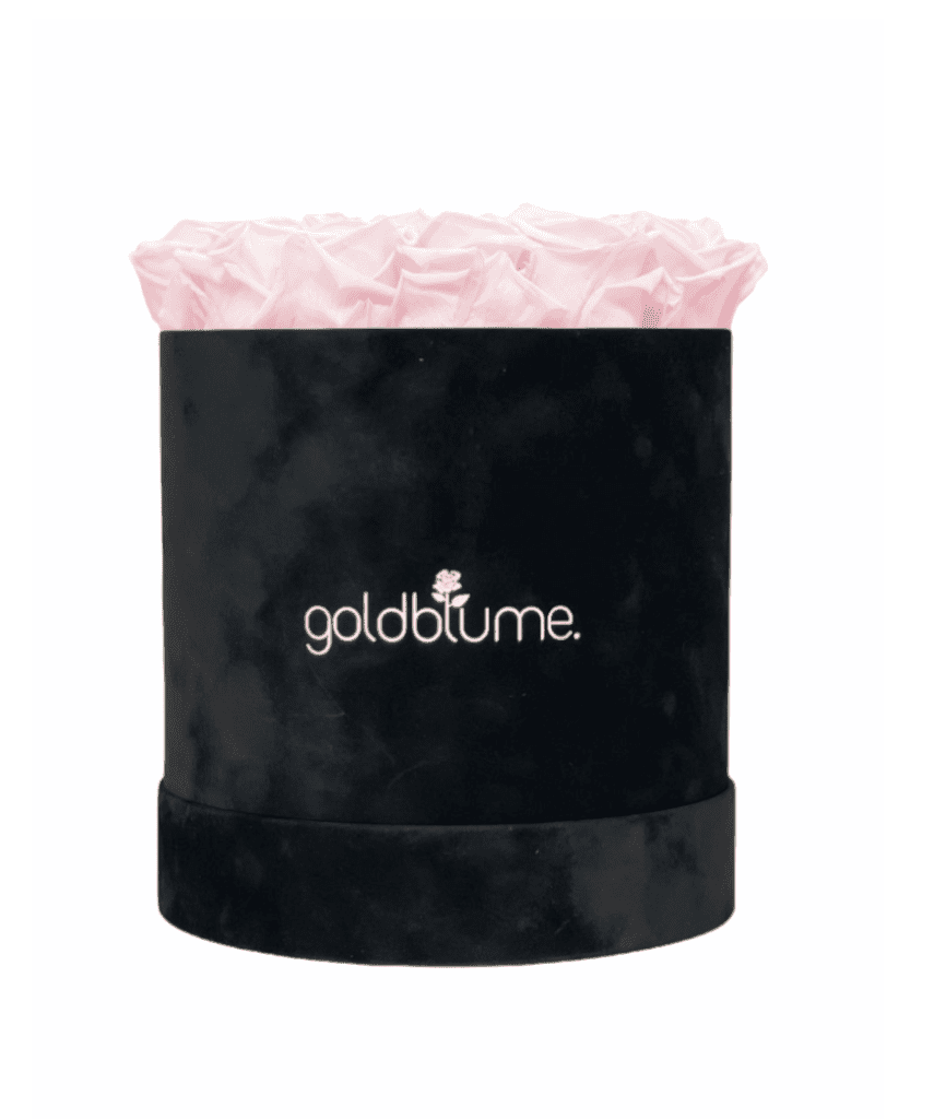 Velvet Black Collection - Goldblume 