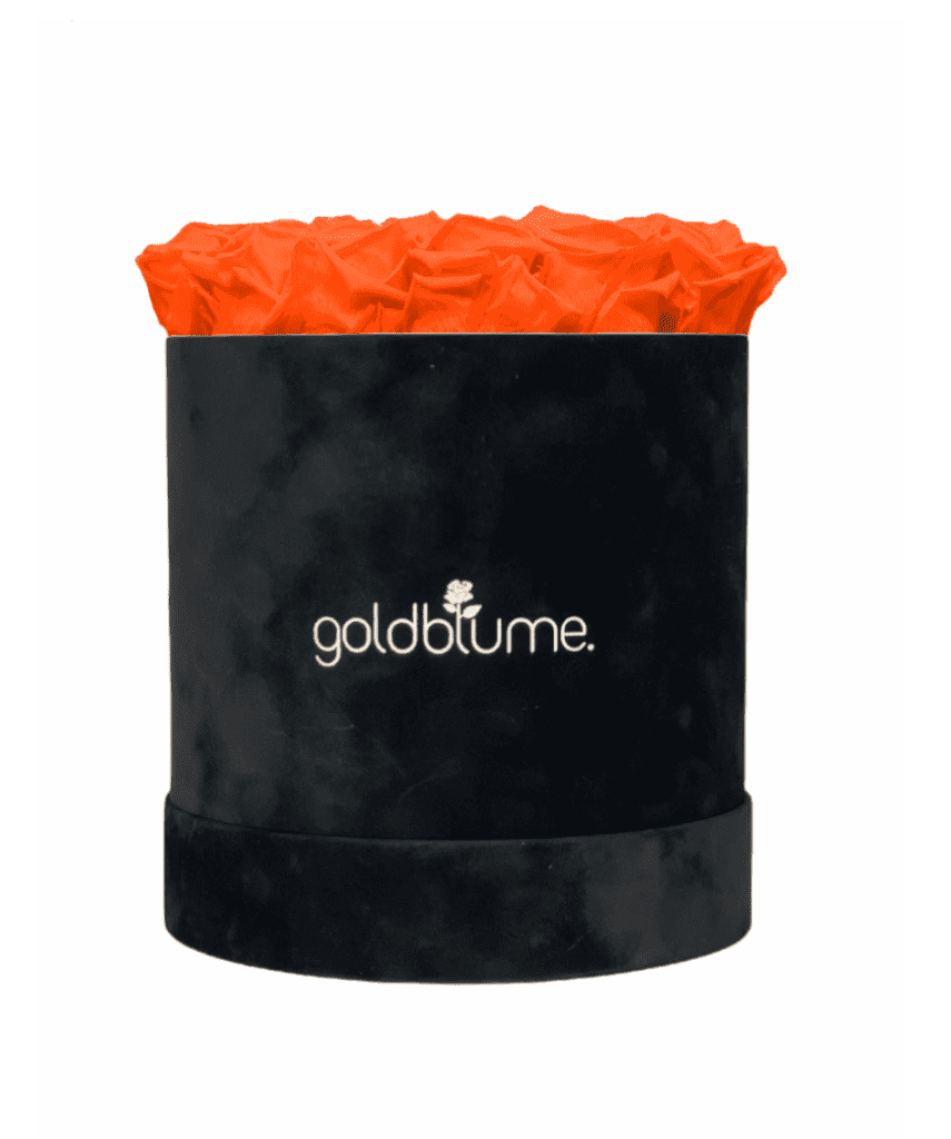 Velvet Black Collection - Goldblume 