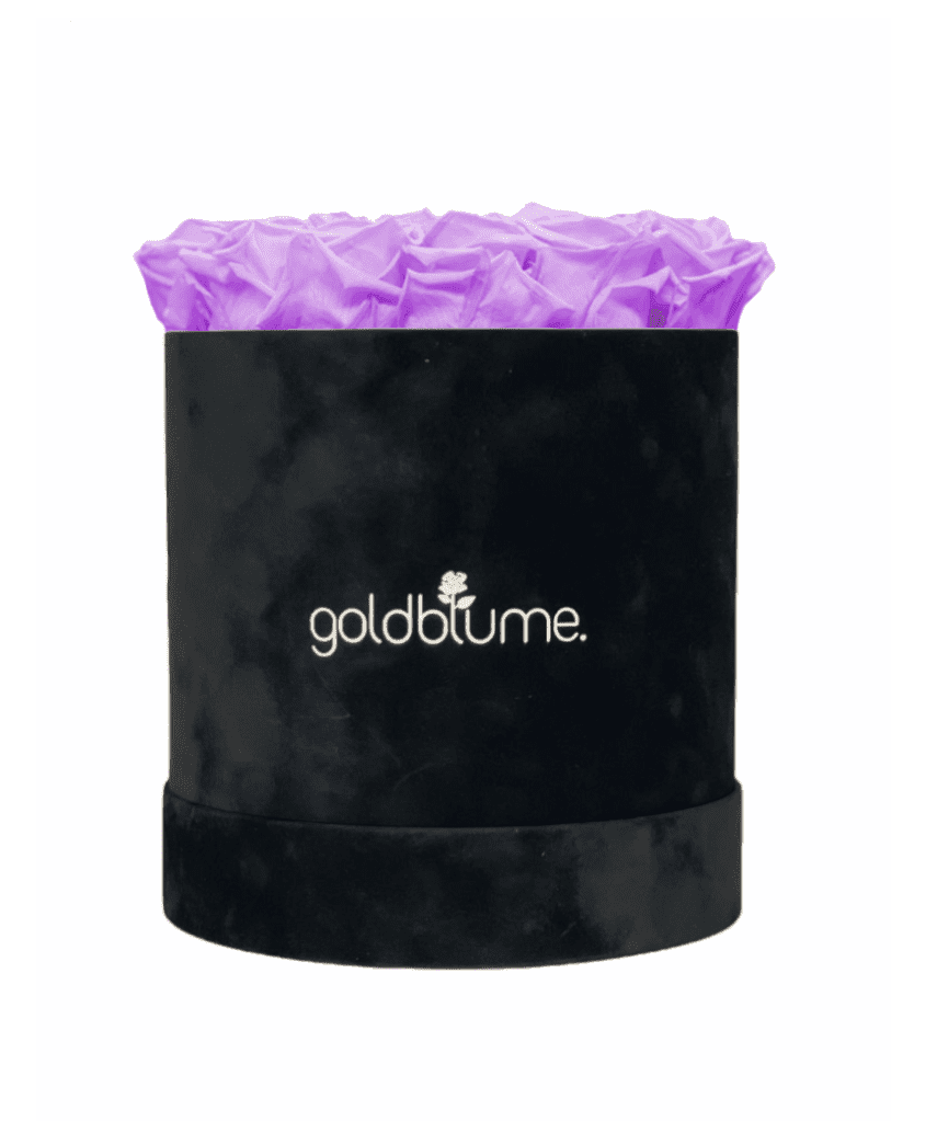 Velvet Black Collection - Goldblume 