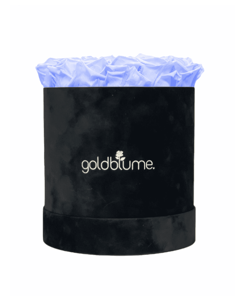 Velvet Black Collection - Goldblume 