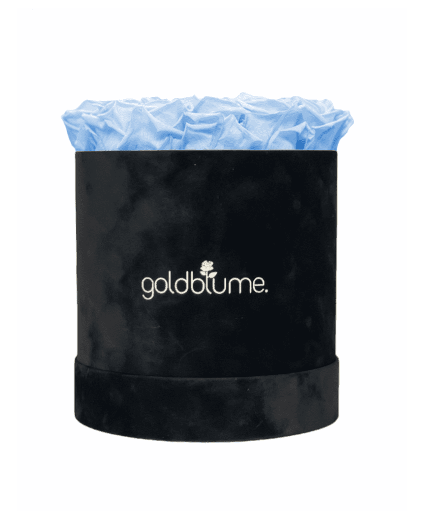 Velvet Black Collection - Goldblume 