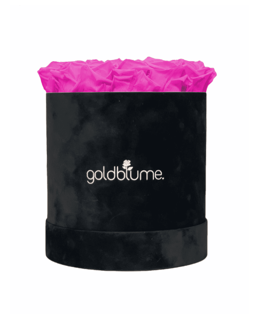 Velvet Black Collection - Goldblume 