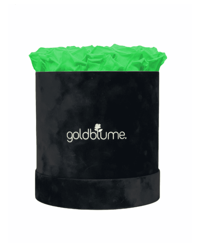 Velvet Black Collection - Goldblume 