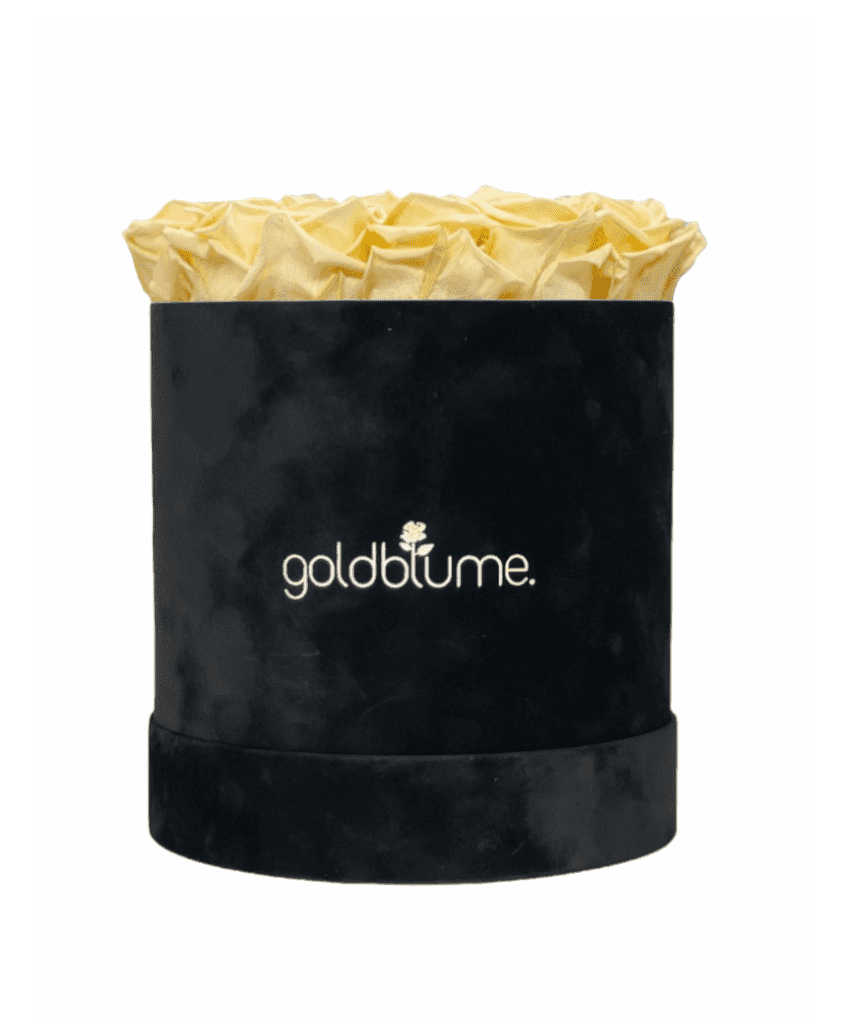 Velvet Black Collection - Goldblume 