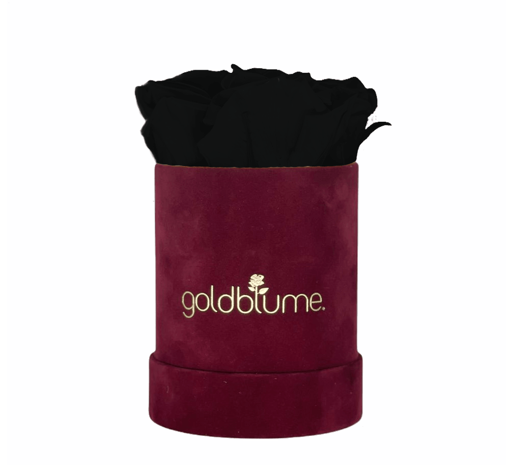 Velvet Bordeaux Collection - Goldblume 