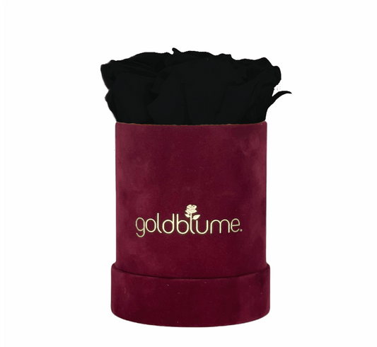 Velvet Bordeaux Collection - Goldblume 