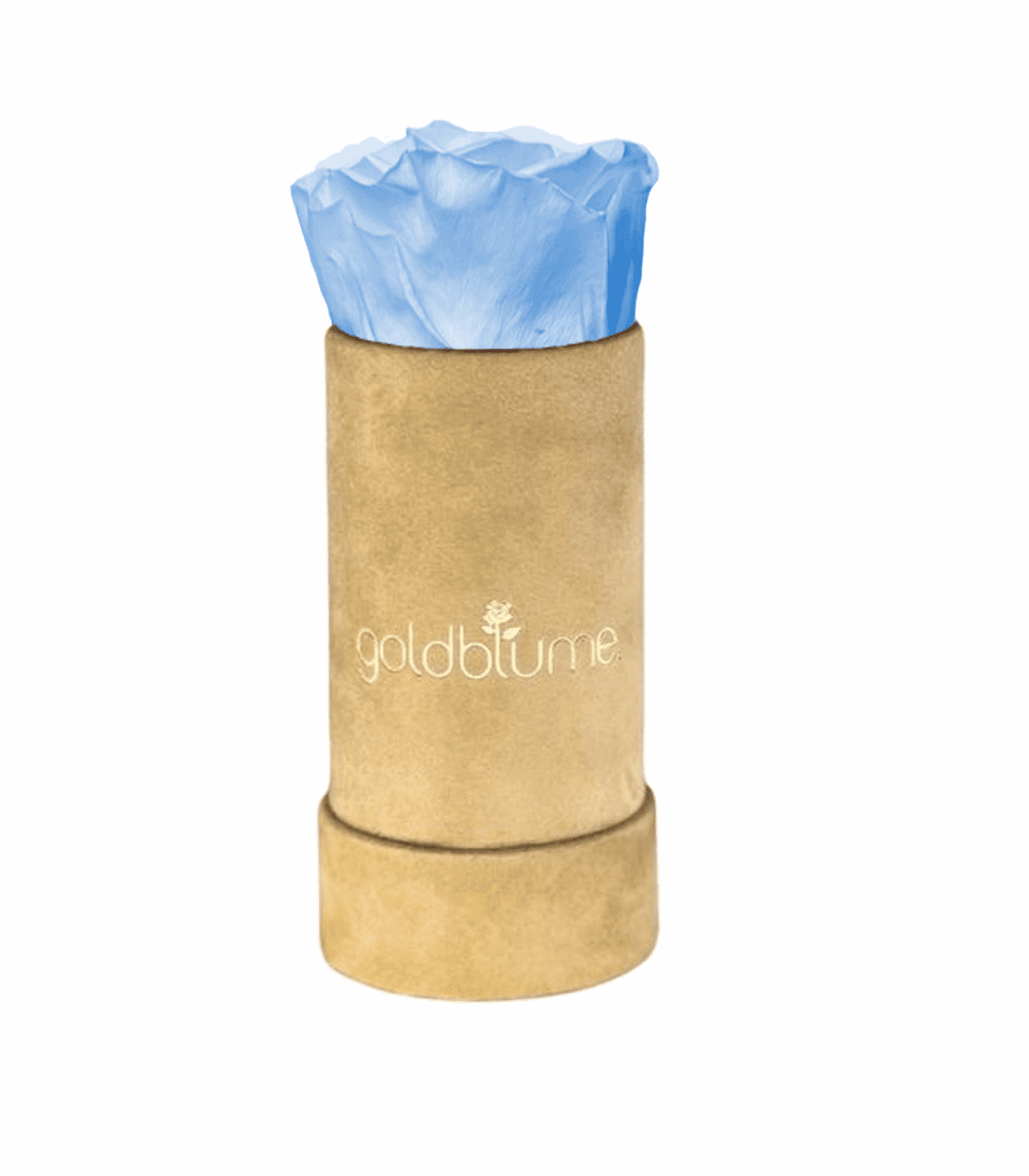 Velvet Beige Collection - Goldblume 