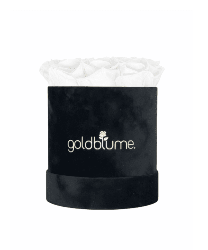 Velvet Black Collection - Goldblume 