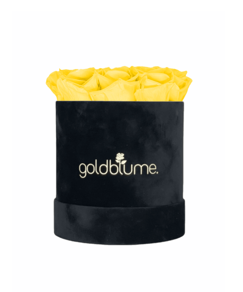 Velvet Black Collection - Goldblume 