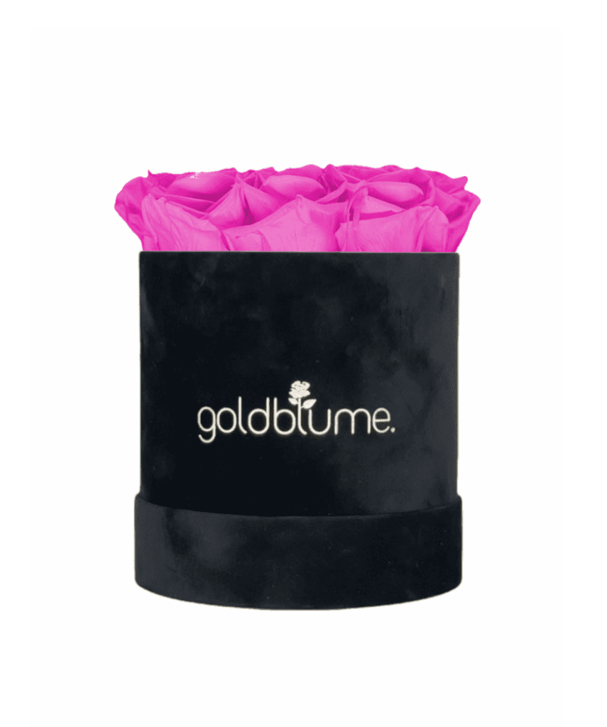 Velvet Black Collection - Goldblume 