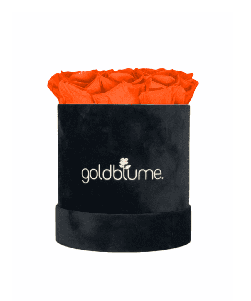 Velvet Black Collection - Goldblume 