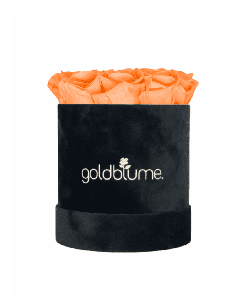 Velvet Black Collection - Goldblume 