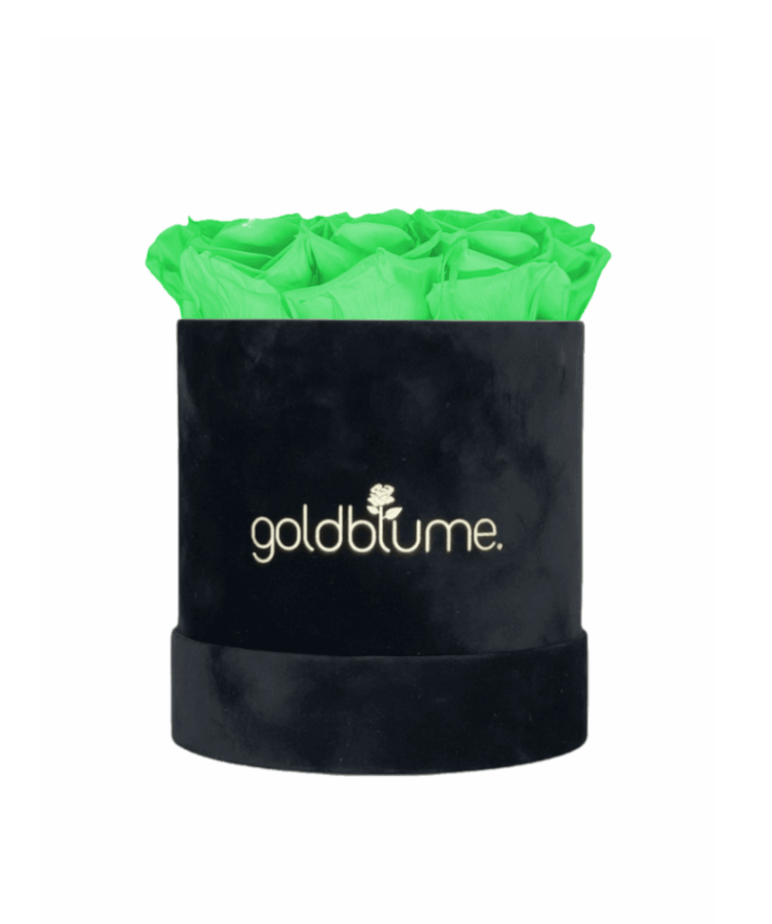 Velvet Black Collection - Goldblume 