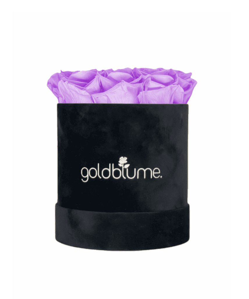 Velvet Black Collection - Goldblume 