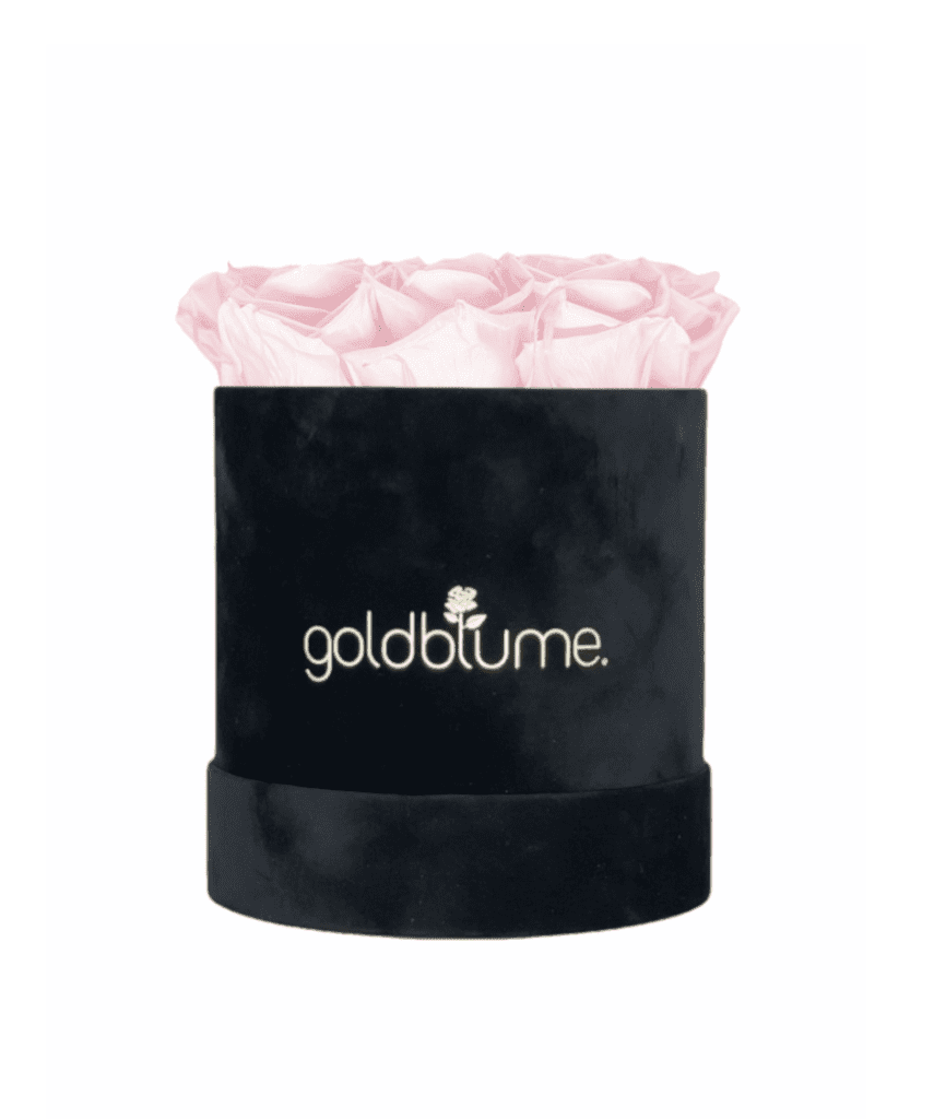 Velvet Black Collection - Goldblume 