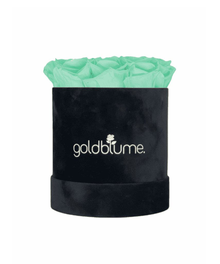Velvet Black Collection - Goldblume 