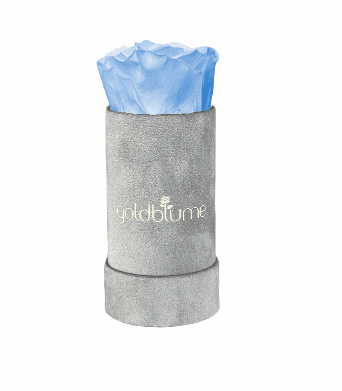 Velvet Grey Collection - Goldblume 
