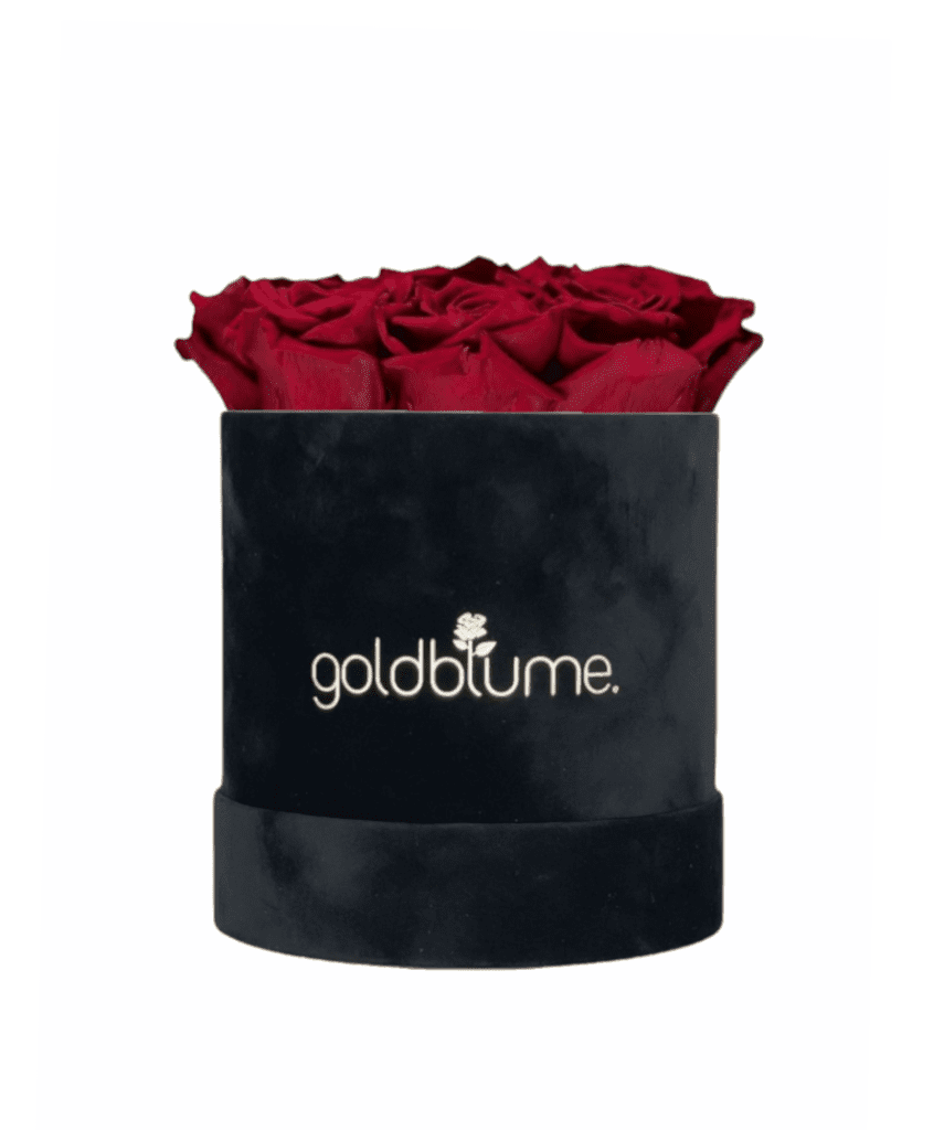 Velvet Black Collection - Goldblume 