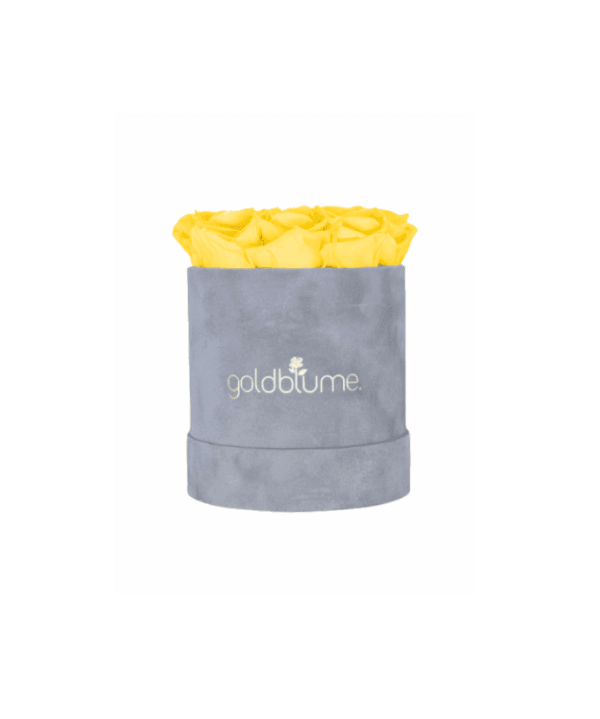 Velvet Grey Collection - Goldblume 