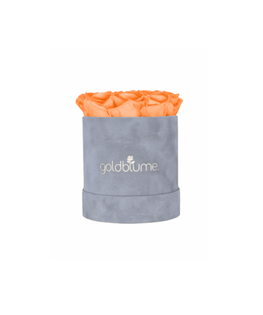 Velvet Grey Collection - Goldblume 