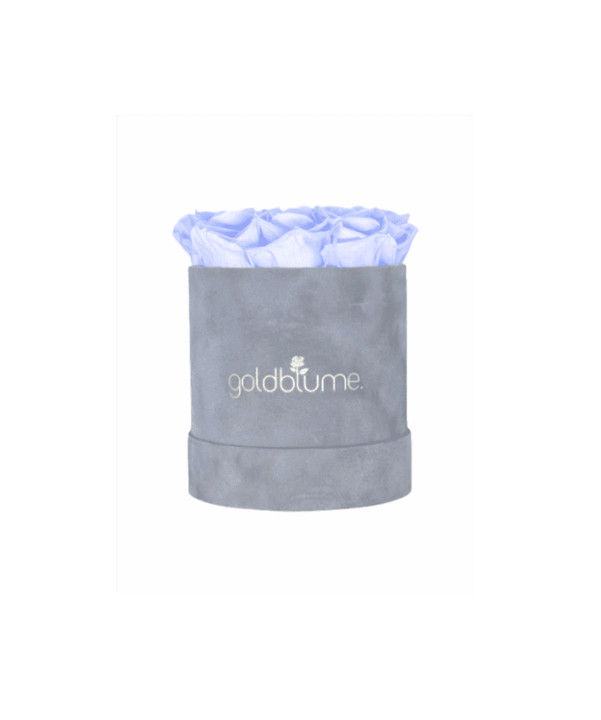 Velvet Grey Collection - Goldblume 
