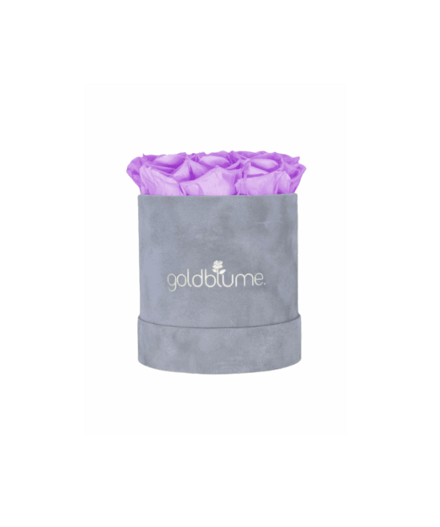 Velvet Grey Collection - Goldblume 