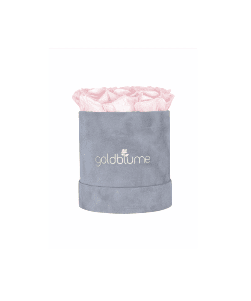 Velvet Grey Collection - Goldblume 