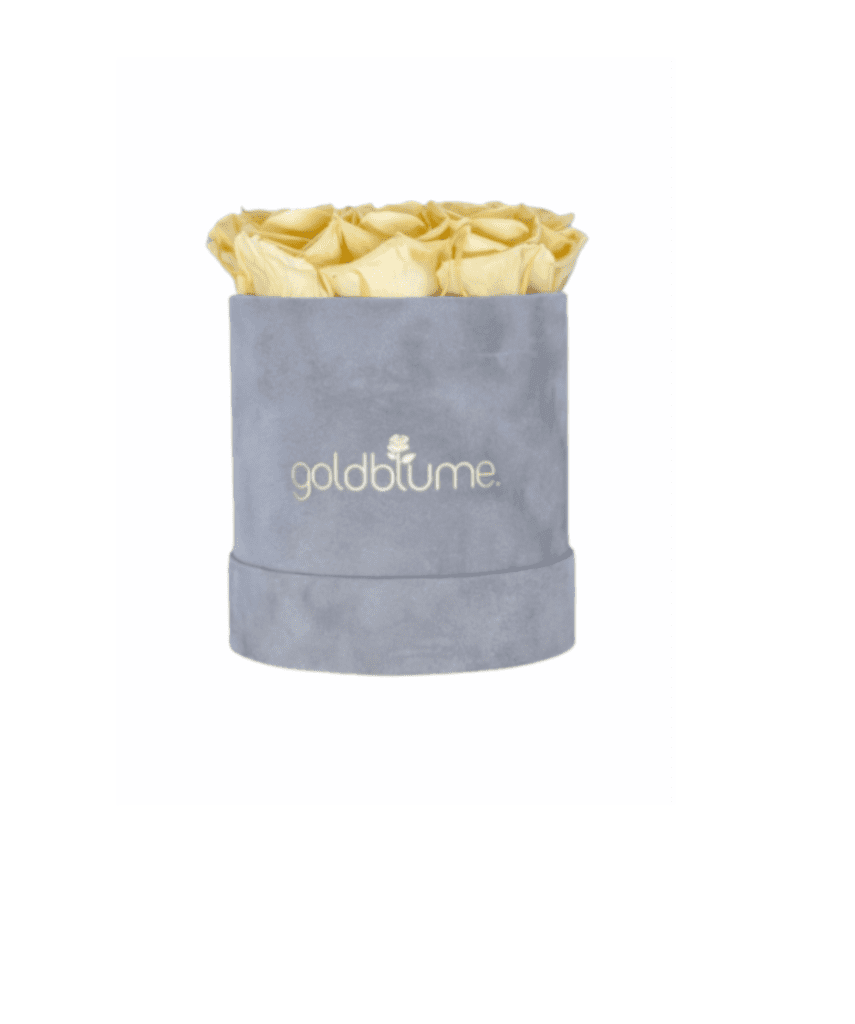 Velvet Grey Collection - Goldblume 