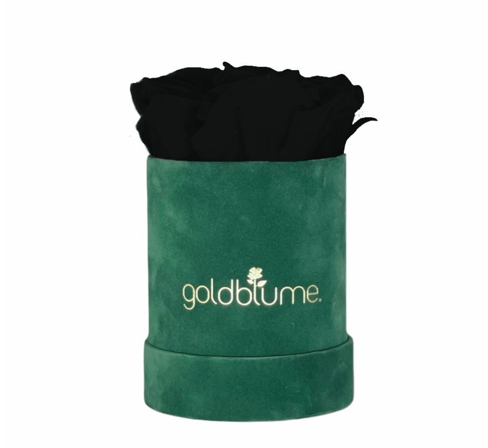Velvet Green Collection - Goldblume 