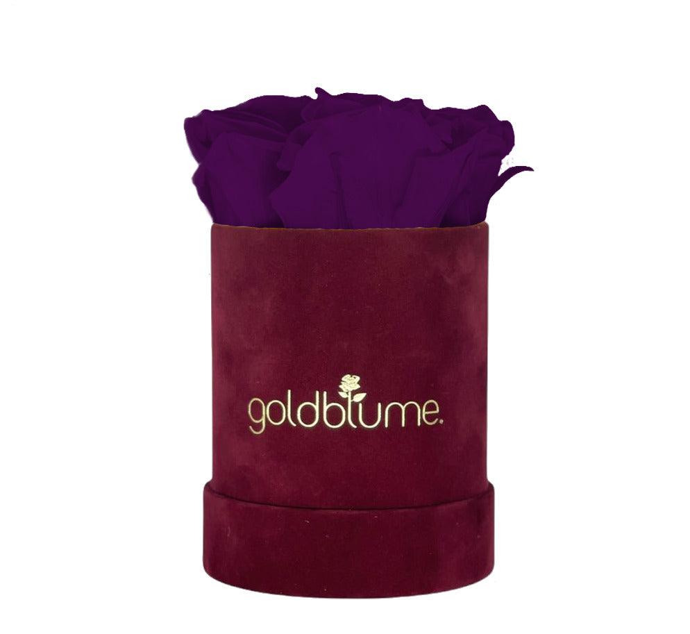 Velvet Bordeaux Collection - Goldblume 