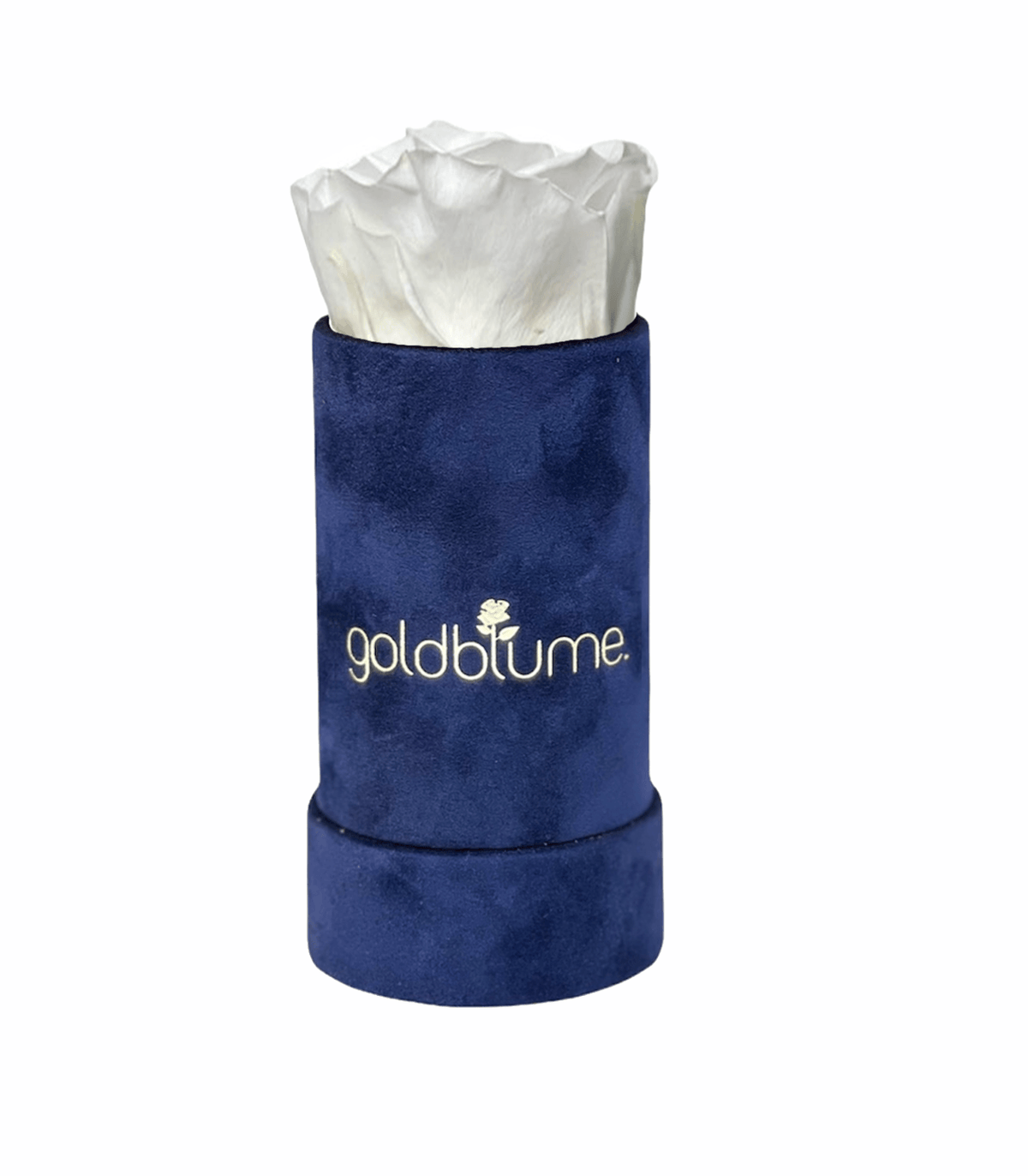 Velvet Royal Collection - Goldblume 