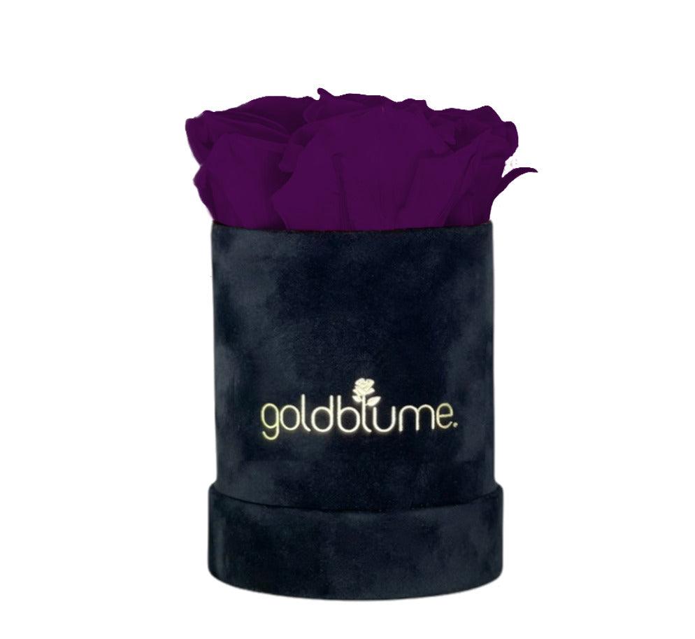 Velvet Black Collection - Goldblume 