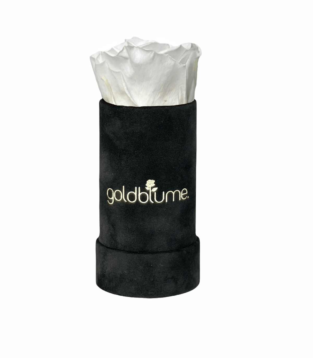 Velvet Black Collection - Goldblume 